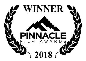 Pinnacle Film Awards Winner Badge